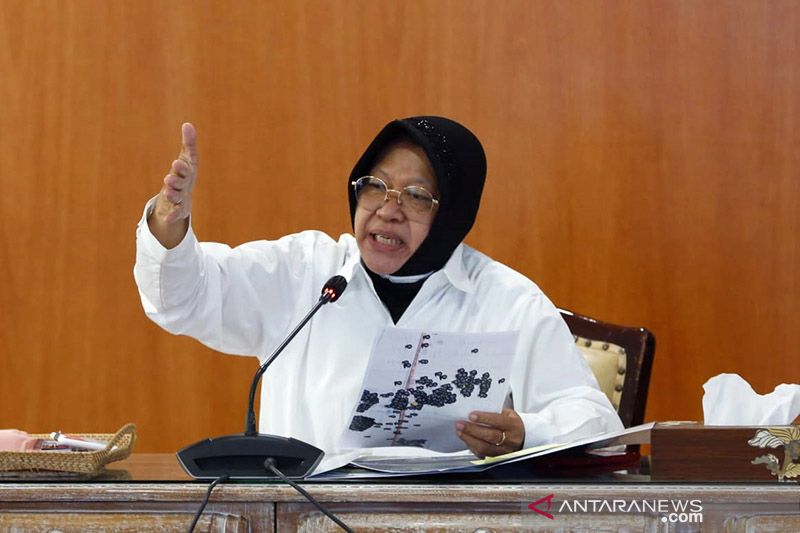 Risma dukung penerapan hukuman kebiri bagi pemerkosa santri