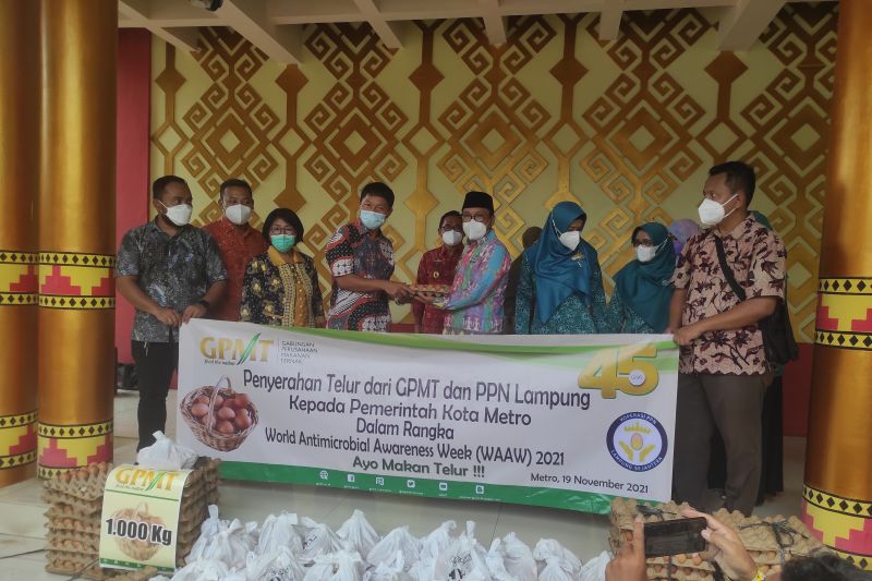 Cegah stunting, Pemkot Metro bersama PPN dan GPMT bagikan 1 ton telur