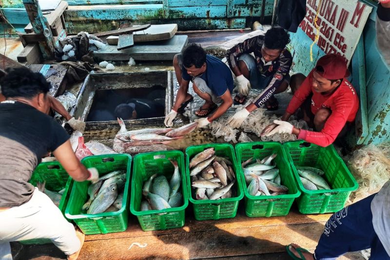 Potensi perikanan di Kepri capai 1,1 juta ton per tahun