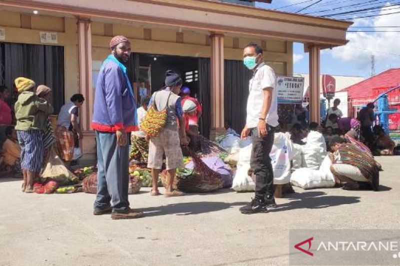 Foto Sayur Mayur Khas Papua Suara Papua