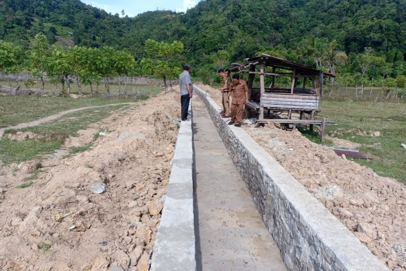 Pesisir Selatan alokasikan Rp15 miliar untuk pengembangan irigasi pada 2022
