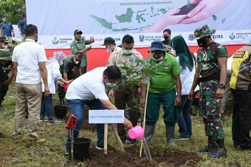 Petrokimia koordinir penanaman bibit pohon di Pasuruan dan Kota Batu