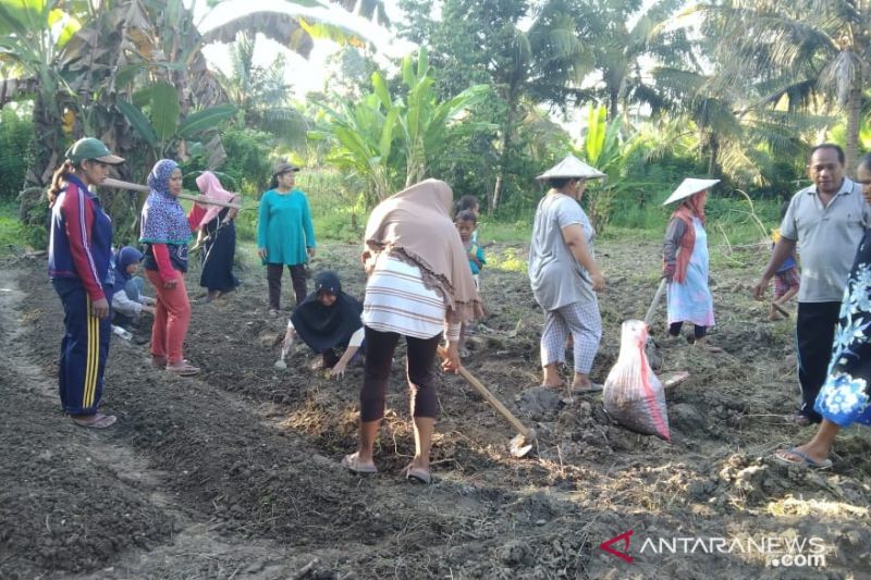 Yayasan Care Peduli kerja sama berdayakan lima desa di Donggala berbasis ekonomi