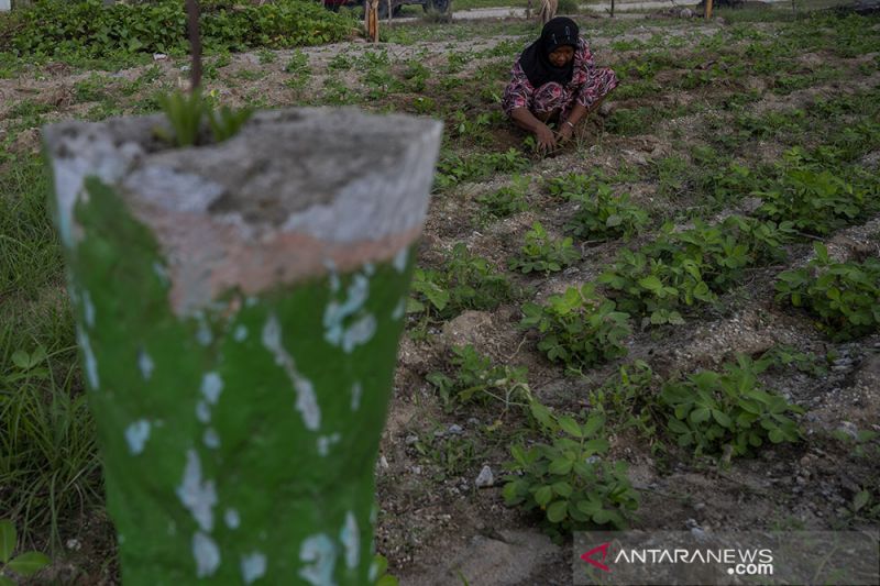 Manfaatkan Kembali Sisa Lahan Rumah yang terkubur