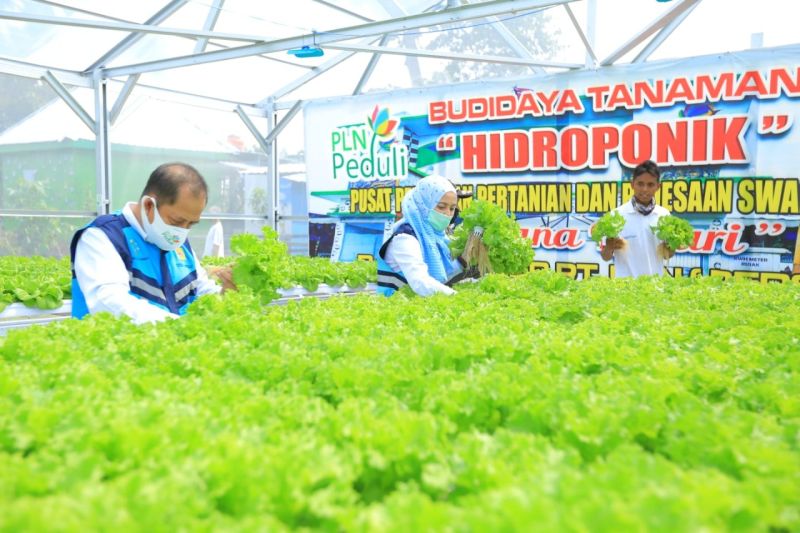 PLN TJSL Fest 2021, dr Tirta berikan tips pada UMK