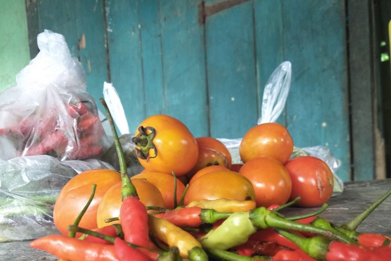 Kenaikan harga cabai di Lombok akibat cuaca ekstrem