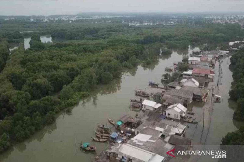 Spektrum - Jeritan warga Muaragembong Bekasi menanti solusi pemerintah