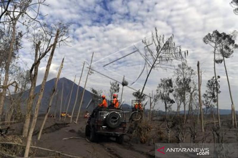 Hari Kelima Pencarian Korban Gunung Semeru