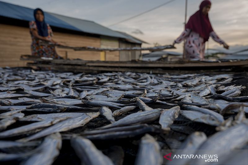 Alokasi Anggaran Untuk Sektor Perikanan Tangkap