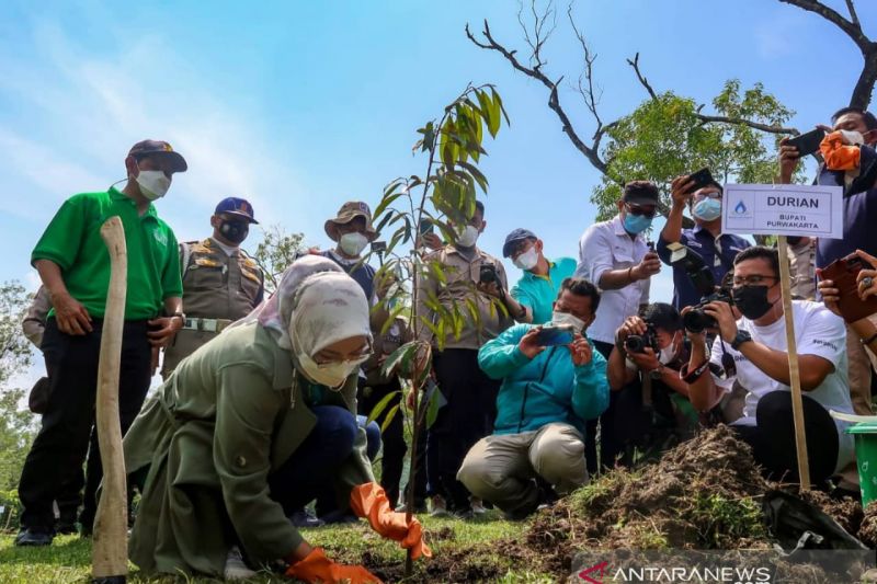 Bupati ajak warga dan korporasi di Purwakarta ikut kurangi lahan kritis