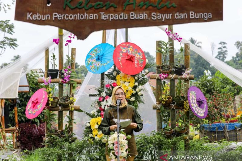 Festival Hortikultura Kebon Ambu digelar di Purwakarta