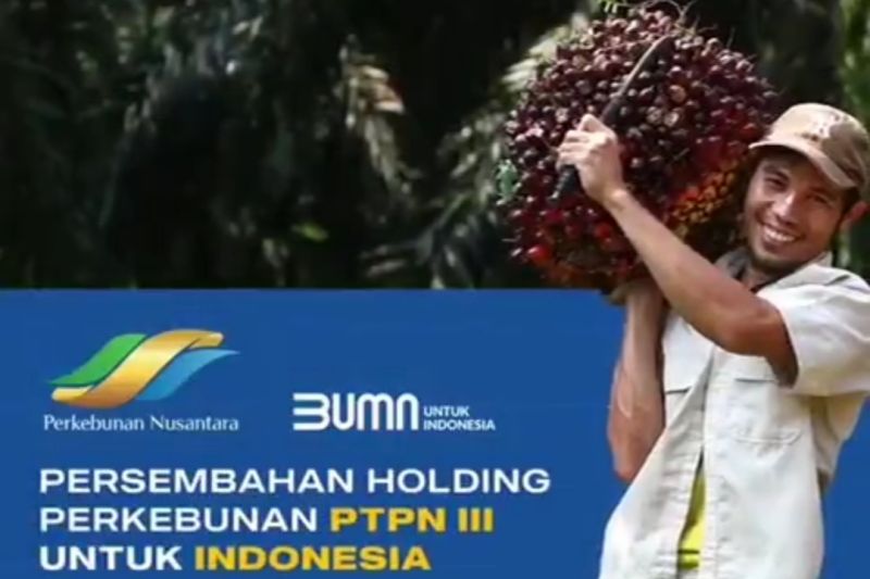 PTPN VIII perkuat eksistensi kelapa sawit melalui sertifikasi RSPO