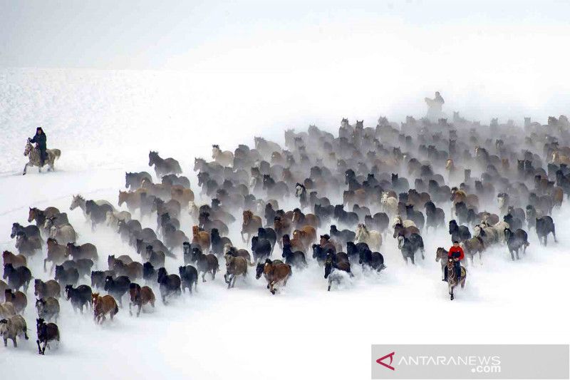 Xinjiang kebut pemulihan ekonomi lewat wisata musim dingin