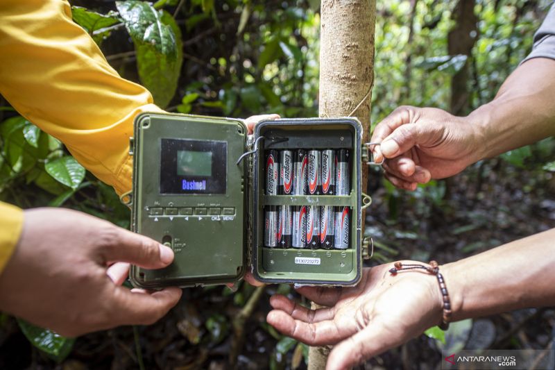 Pemasangan Kamera Trap di Kawasan Konservasi Musi Banyuasin