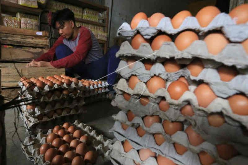 Telur ayam dan tiket kereta picu inflasi di Cirebon pada Desember 2021