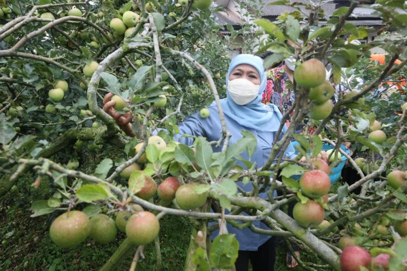 Governor committed to increasing East Java's happiness index rate - Vimarsana News