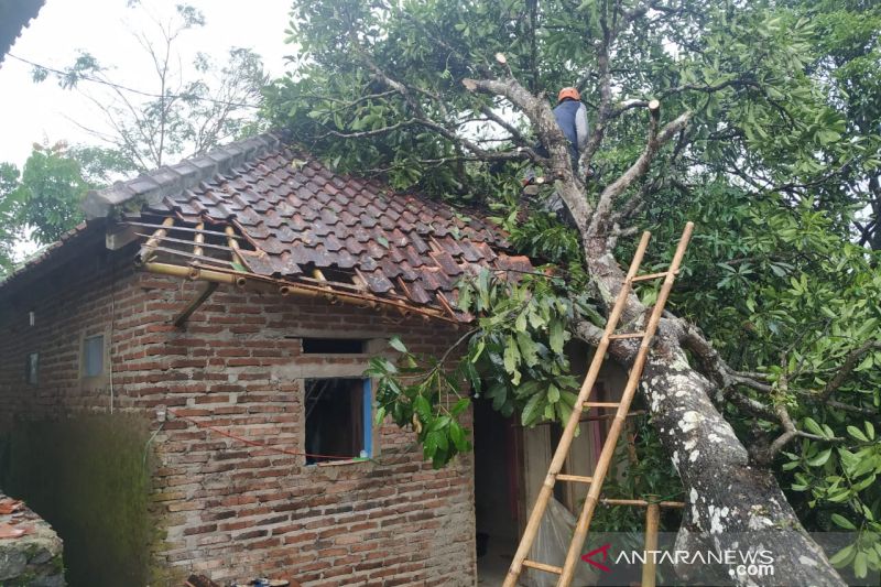 8 rumah rusak dan pohon tumbang diterjang angin di Tasikmalaya