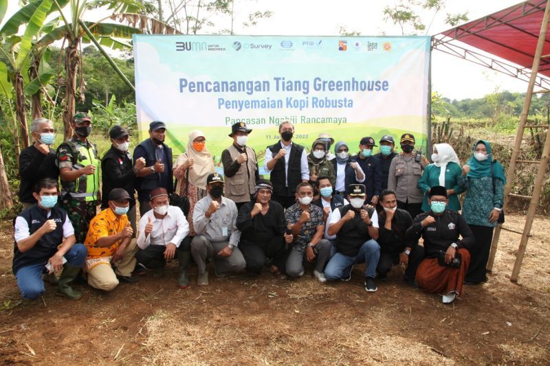 Surveyor Indonesia mendukung budi daya kopi berkelanjutan