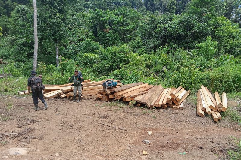 Kayu ilegal di kawasan HP Air Rami Mukomuko dimusnahkan
