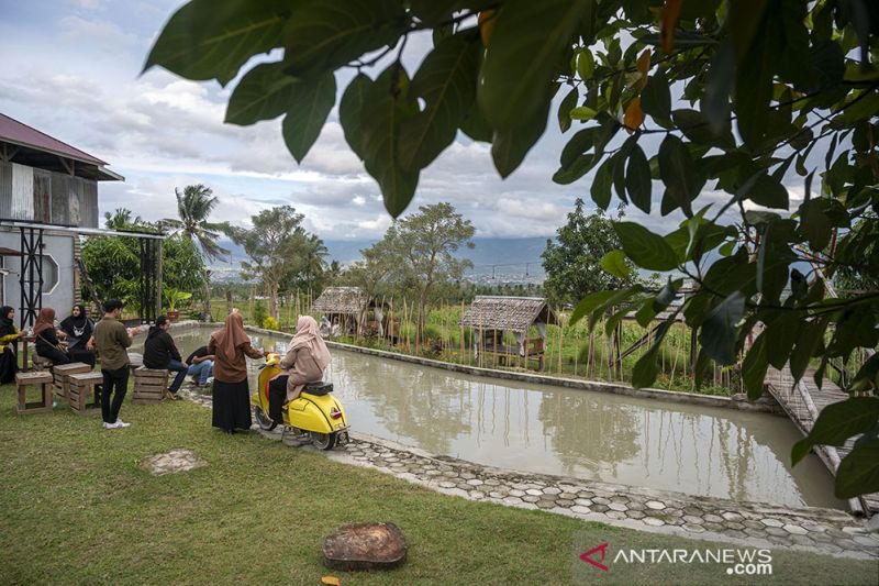 Kafe di Tengah Kawasan Persawahan Porame