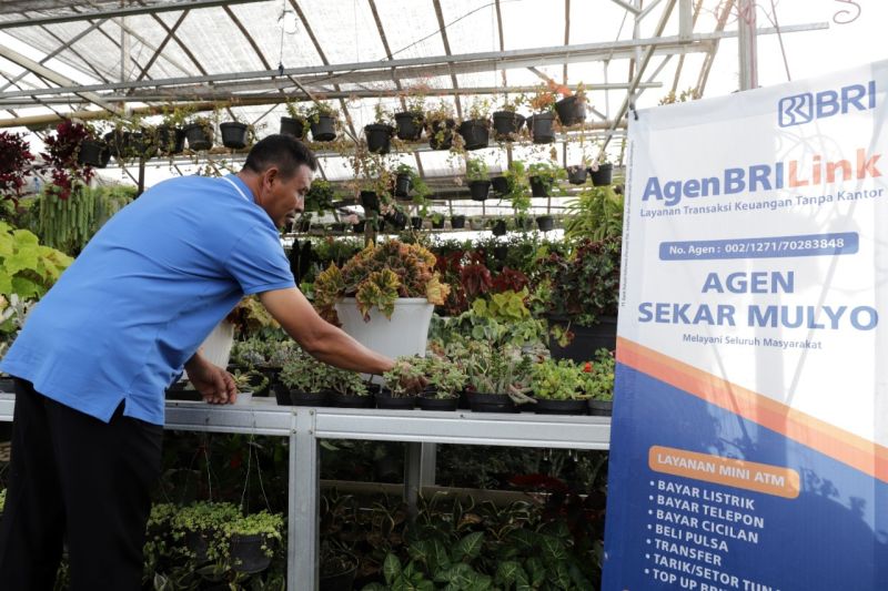 BRI dan Kementerian BUMN dukung pemberdayaan UMKM klaster tanaman hias