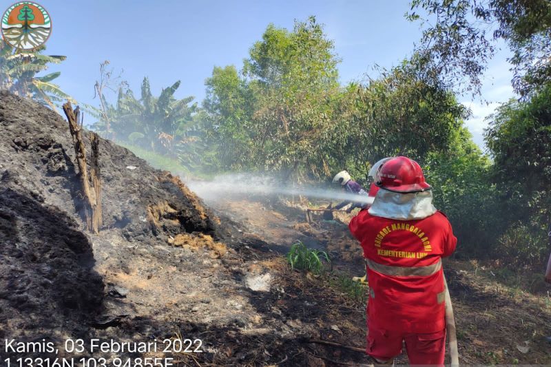 Area produksi tempurung arang di Sekupang  terbakar