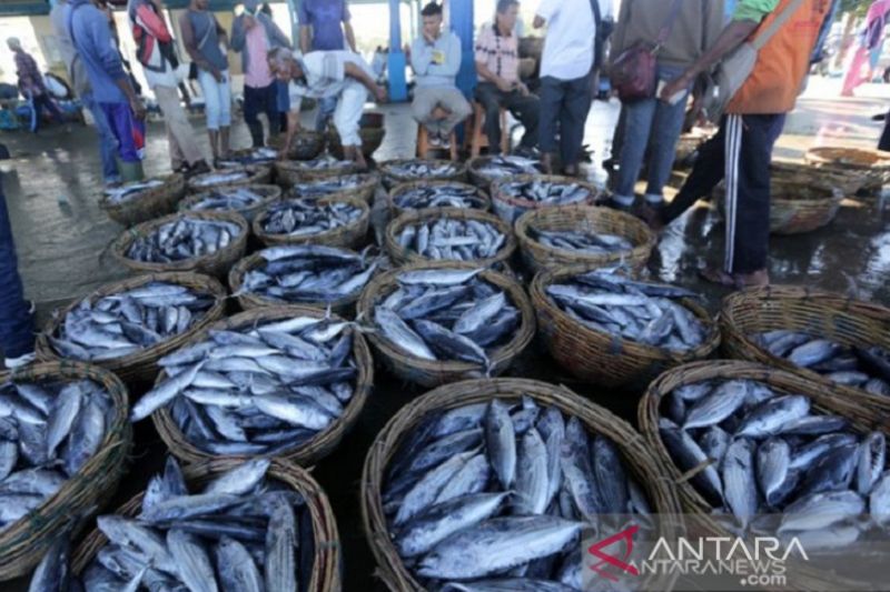 Dinas Perikanan Karawang kembangkan kampung ikan pindang