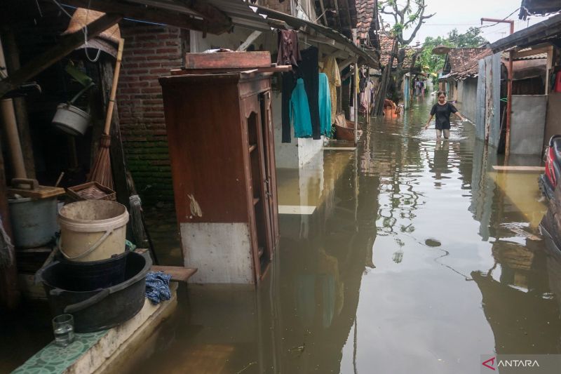 Banjir Di Kota Pekalongan - ANTARA News