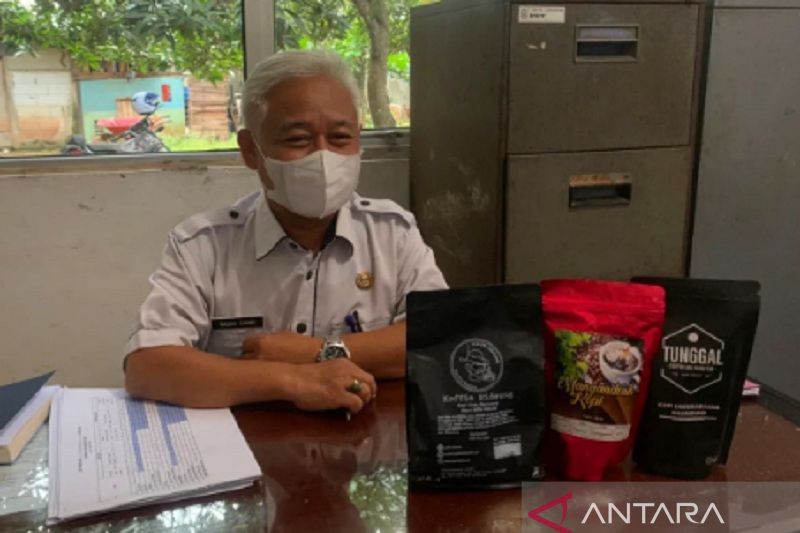 Karawang kembangkan tanaman kopi di atas lahan 750 hektare