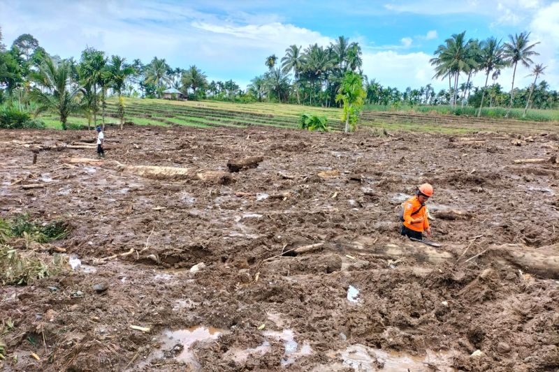 Lima orang diketahui tewas dalam gempa Pashaman: Tim SAR