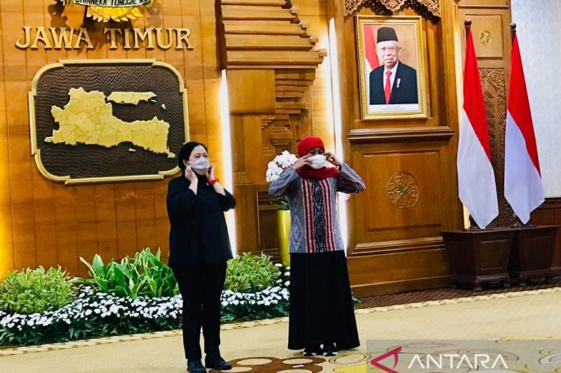 Khofifah titip cangkokan pohon buah mentega untuk Megawati melalui Puan