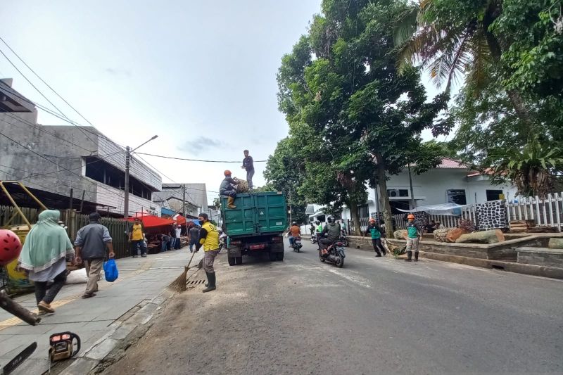 Penanganan pohon tumbang selesai, Jalan MA Salmun Bogor lancar