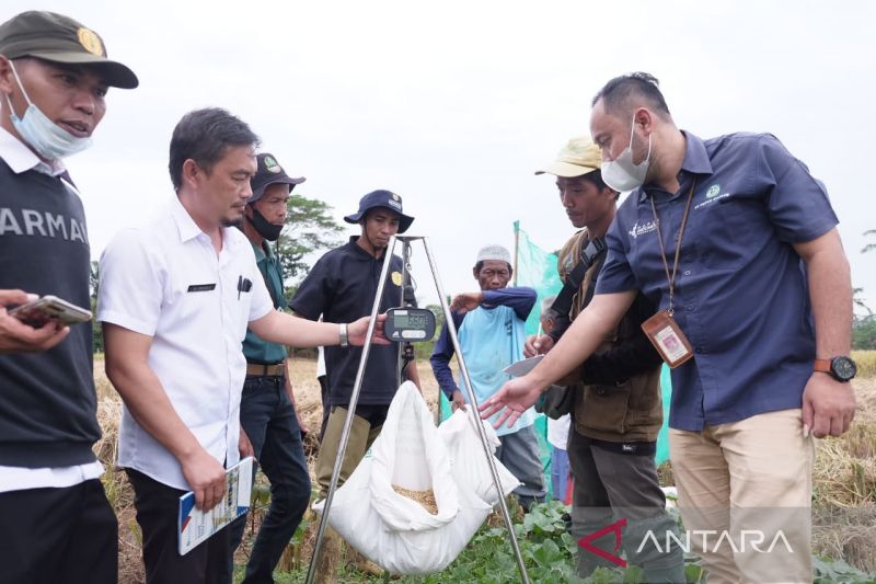 Petani di Banjar tertarik Program Makmur karena meningkatkan hasil panen