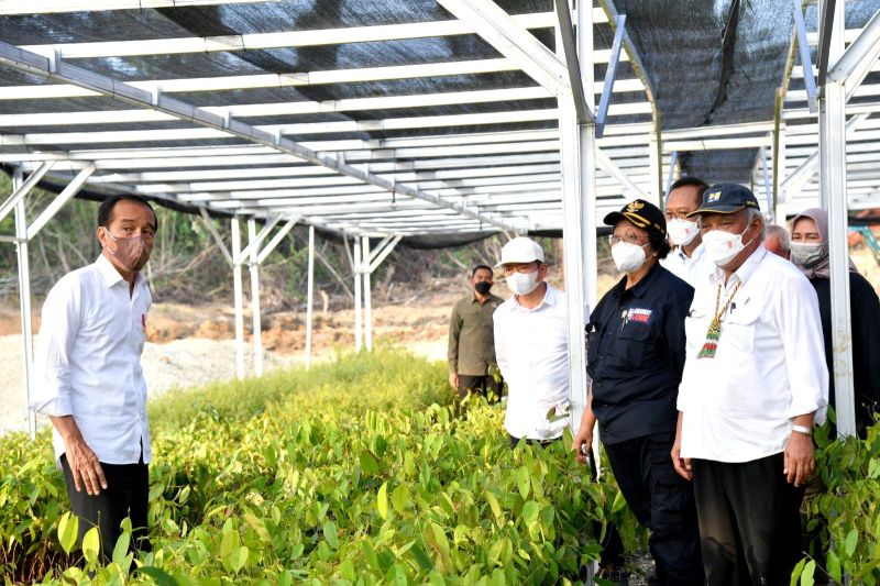 Menteri LHK: Persemaian Mentawir dukung rehabilitasi lahan di areal IKN