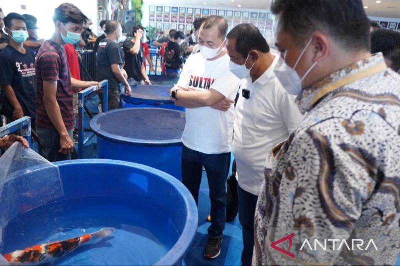 Kontes ikan koi terbesar Indonesia sukses digelar di Cikarang