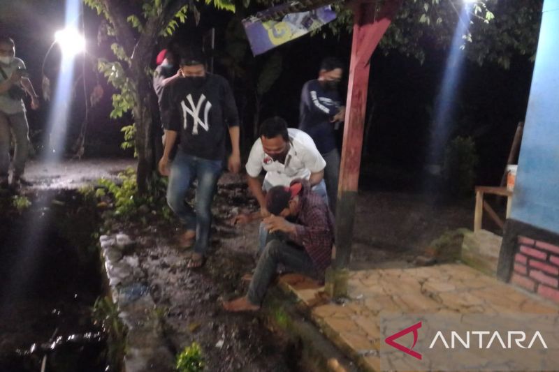 Polisi temukan belasan tanaman ganja di Kabupaten Sukabumi