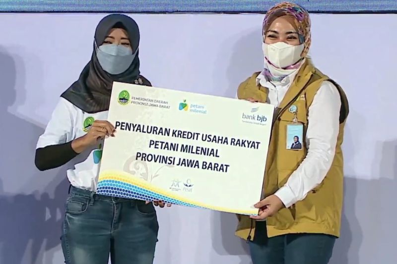 Bank BJB dorong generasi muda berbisnis lewat Petani Milenial