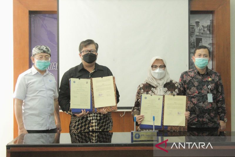 Kota Bogor gandeng IPB garap agrowisata halal di Rancamaya