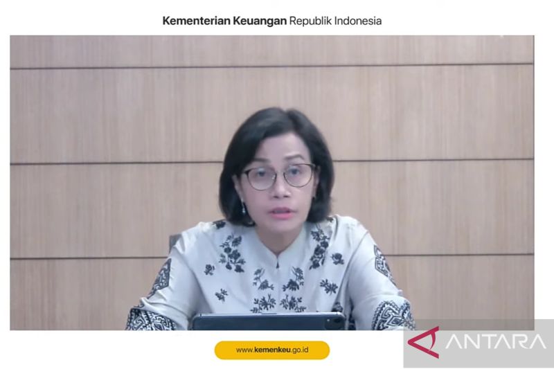 Anggaran negara menyerap risiko dari konflik Rusia-Ukraina: Menteri