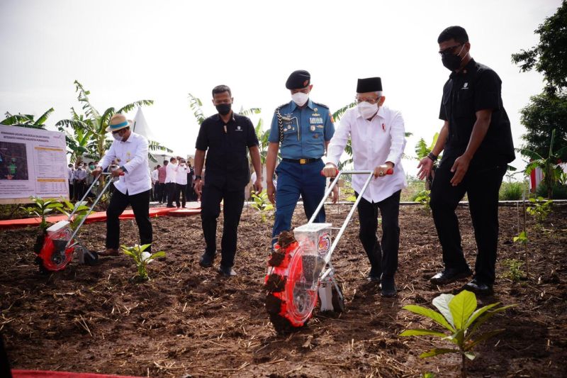 Wapres RI tanam jagung dan kedelai di Purwakarta