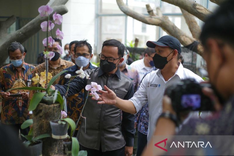 Bima Arya harap konservasi Anggrek Kebun Raya gandeng petani lokal