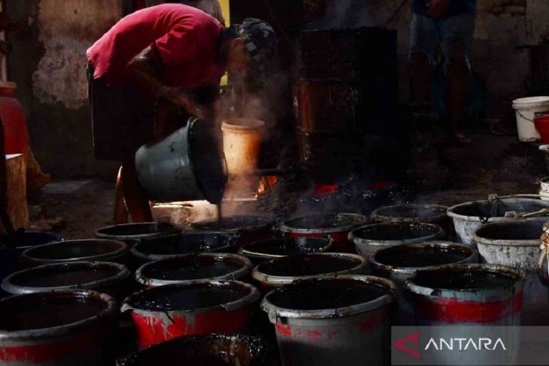 Produksi cincau hitam di bulan Ramadhan