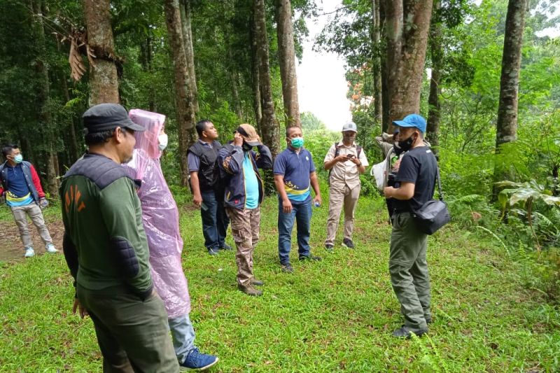 Danone-Aqua kerja sama pelestarian TN Gunung Halimun Salak