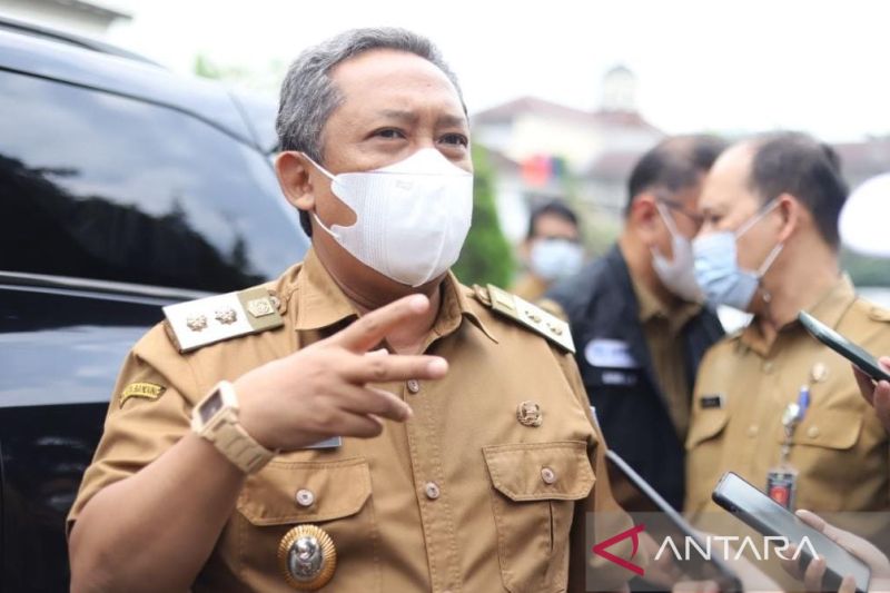 Pemkot Bandung sebut sawah dilindungi terus menipis