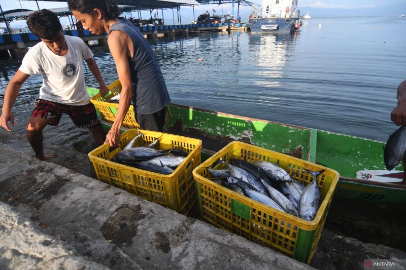 Potensi Ikan Tangkap Indonesia