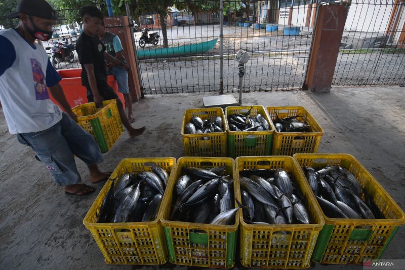 Potensi Ikan Tangkap Indonesia