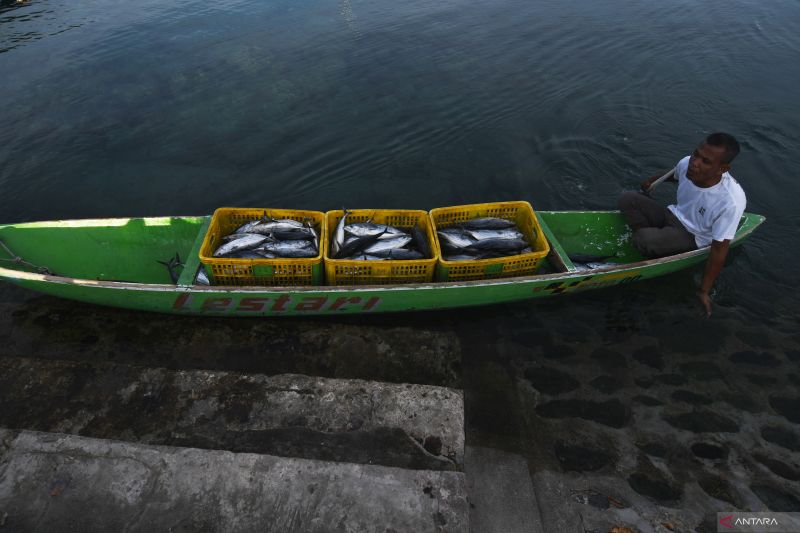 Potensi Ikan Tangkap Indonesia