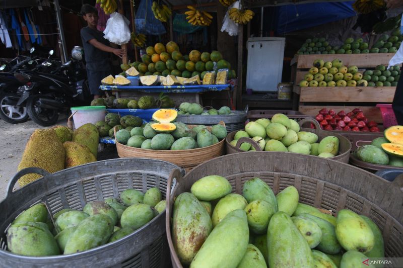 Dorong Konsumsi Buah Lokal