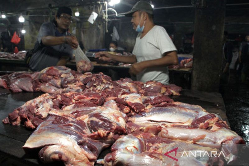 Harga daging sapi naik di Makassar