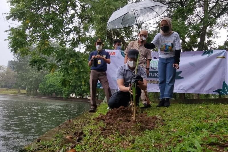 ILUNI UI tanam 5.000 akar wangi di kampus saat peringati Hari Bumi